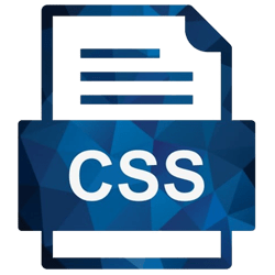 CSS Training