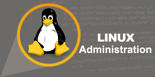 Linux Fundamentals Certification Training