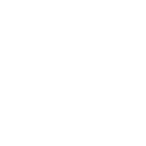 Parallel and Distributed Projects